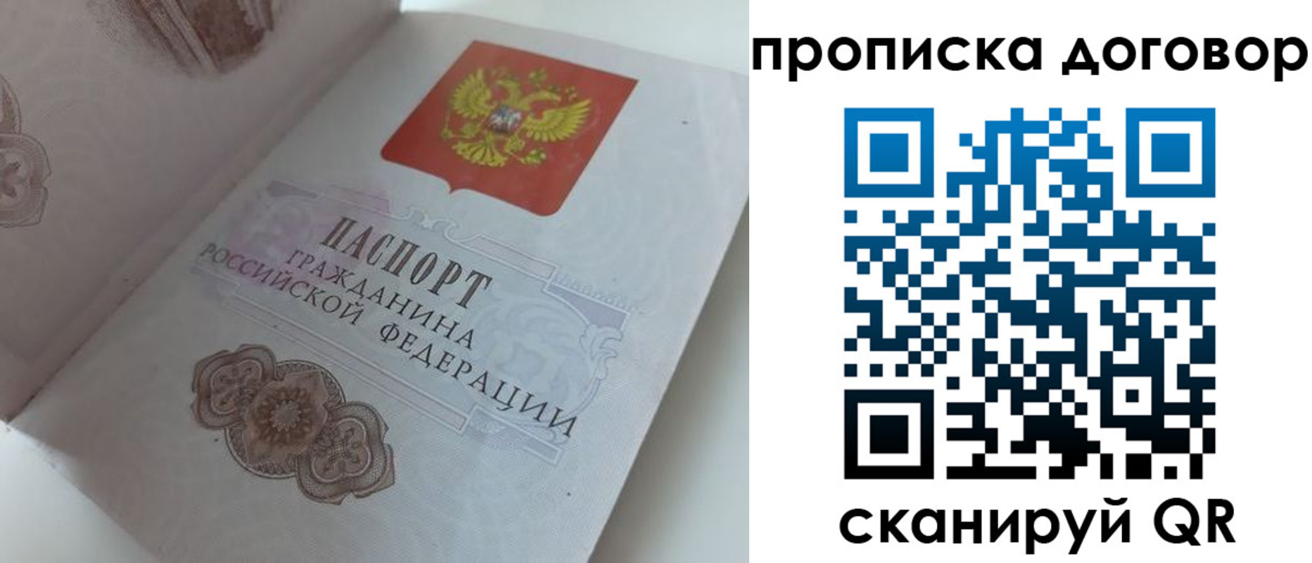 прописка поиск в Завитинске