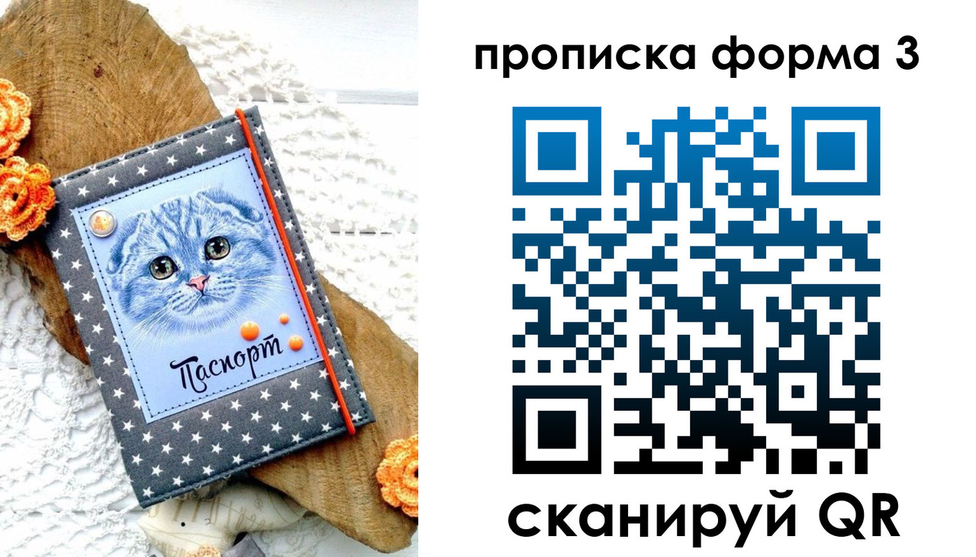 временная регистрация собственник в Завитинске